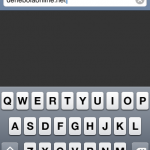 Typing in the URL