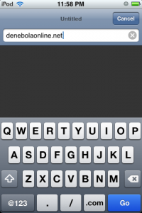 Typing in the URL